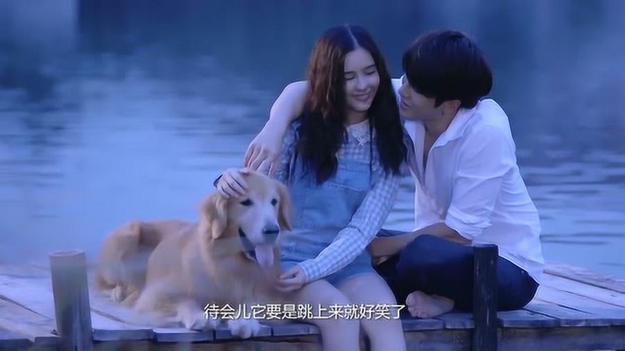 植物大战僵尸10